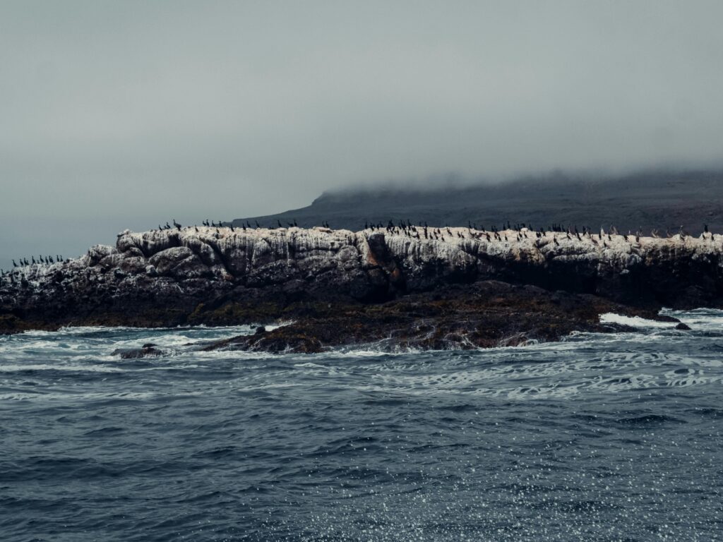 Livingston Island